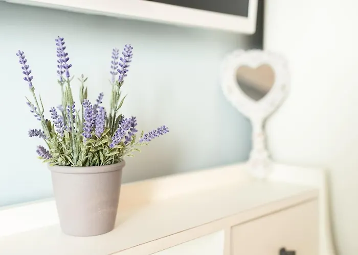 Siel Seaside Boutique Homes *